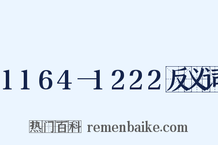 1164—1222反义词是什么意思的图片
